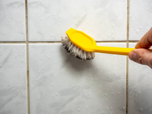 Best Mold Remediation Experts  in Bellville, TX