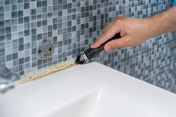 Best Black Mold Removal  in Bellville, TX