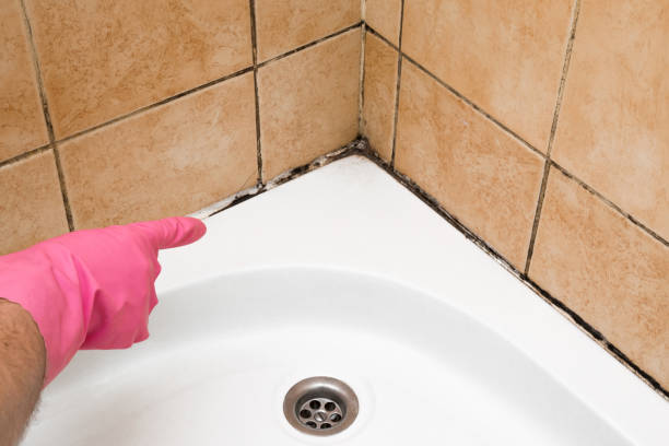 Water Damage Restoration in Bellville, TX